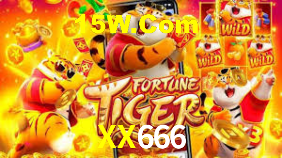 XX666